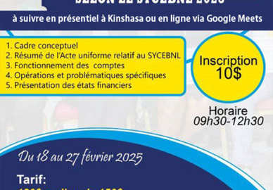 Formation sur la comptabilité des asbl selon le Sycebnl 2023