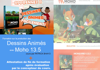 Formation sur la Production des Dessins Animés avec Moho 13.5
