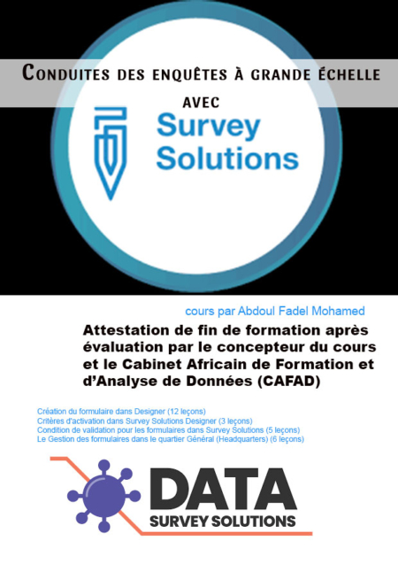 Cours de Survey Solutions_Conduites des enquêtes à grande échelle