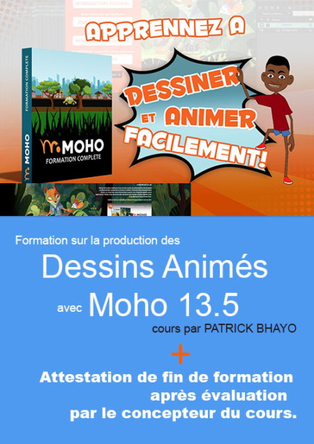 Formation sur la Production des Dessins Animés avec Moho 13.5