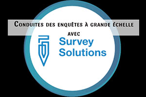 Cours de Survey Solutions_Conduites des enquêtes à grande échelle – Image 2