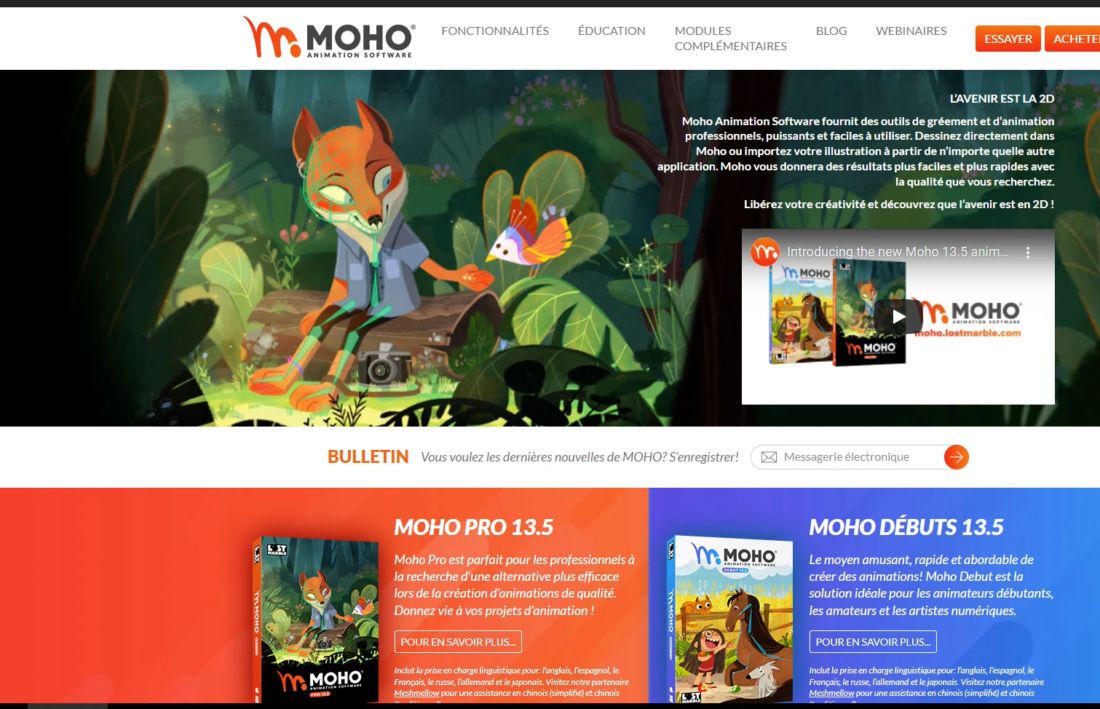 Moho 13