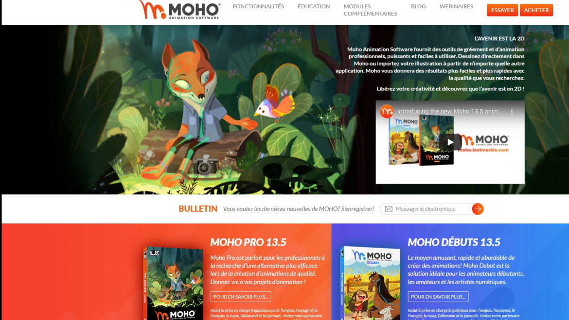 Moho 13